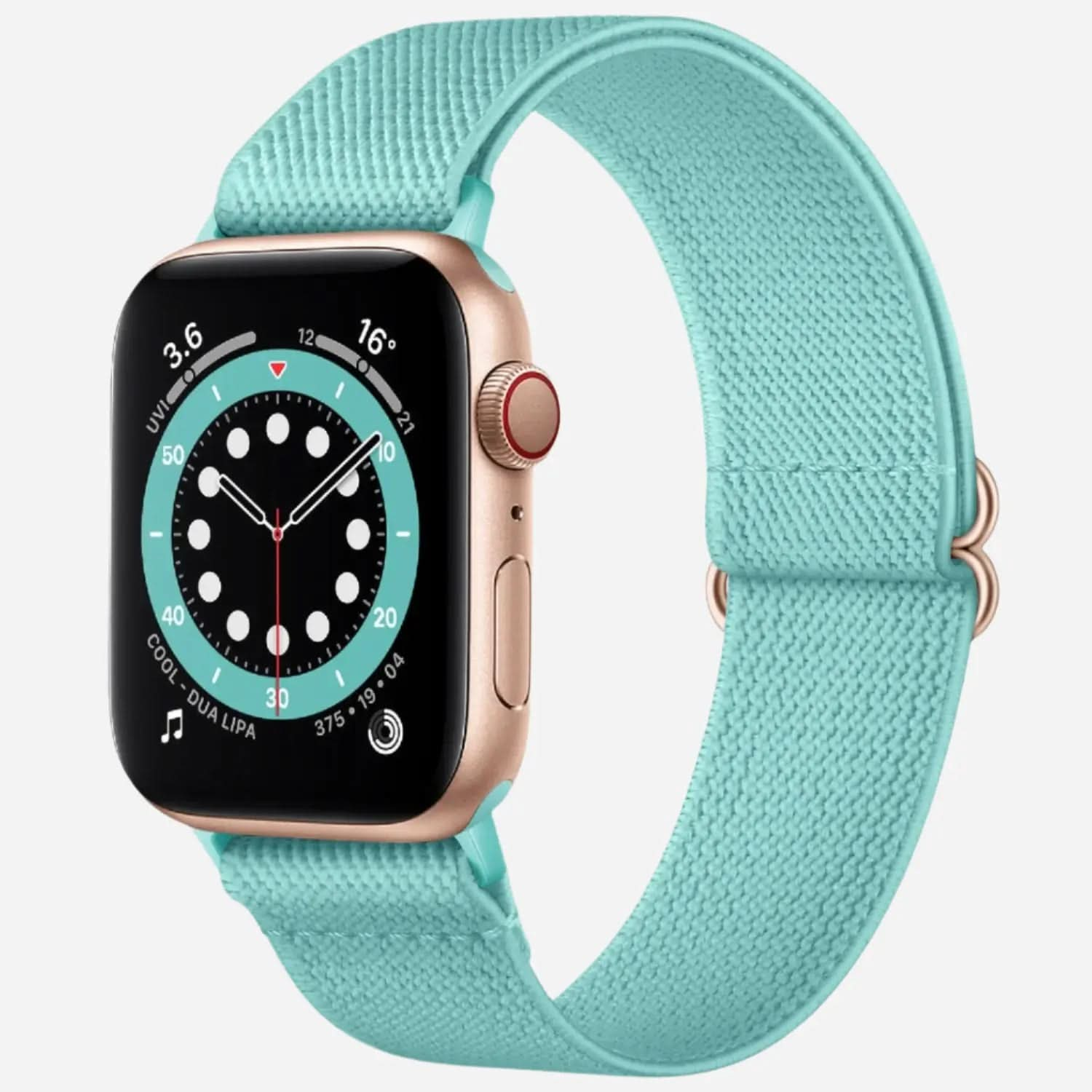 MillesTECband Apple Watch Nylon Loop Armband MillesTEC